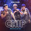Cover Chip