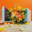 Cover aRange