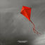 Cover Kite in the Sky