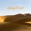 Cover Windy Desert: Exotic Music