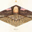 Cover Temple of Time