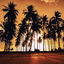 Cover Honolulu
