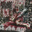 Cover Misanthropic Carnage