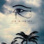 Cover Eye in the Sky (Dj Style Remix)