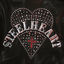 Cover Steelheart
