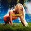 Cover Midnight Sun