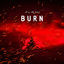 Cover Burn