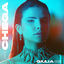 Cover Chega