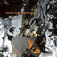 Cover Gens