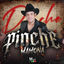 Cover Pinche Mamona