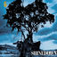 Cover Simple Man