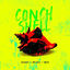 Cover Conch Shell