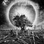 Cover Monochrome