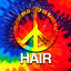 Cover Hair (A Rock Musical)