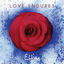Cover Love Endures