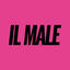 Cover Il Male