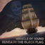 Cover Beneath the Black Flag