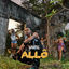 Cover Allô