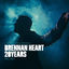 Cover Brennan Heart 20 Years