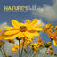 Cover NATURE'S LULLABY Gentle Ambient Melodies