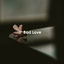 Cover Bad Love