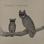 Cover Palindrome Hunches