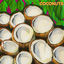 Cover Coconuts