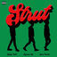 Cover Strut