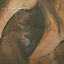 Cover Lion's Drift