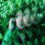 Cover Rendben