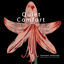Cover Healing Collection: Quiet Comfort