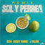 Cover Sal y Perrea (Remix)