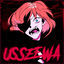 Cover USSEEWA (Russian ver.)
