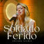 Cover Soldado Ferido