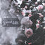 Cover no good 4 me