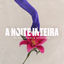 Cover A Noite Inteira
