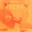 Cover Messy