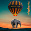 Cover Elephants
