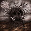 Cover With Blood Comes Cleansing