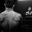 Cover Canelo