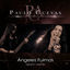 Cover Ángeles Fuimos
