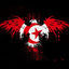 Cover Allez les Aigles