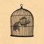 Cover Fish in a Birdcage
