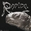 Cover Rapide