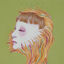 Cover Chameleon