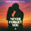 Cover Never Forget You