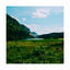 Cover Meadow
