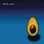 Cover Pearl Jam
