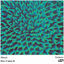 Cover Abacaxi