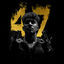 Cover 47